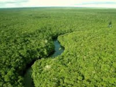 AMAZONIA BRASIL