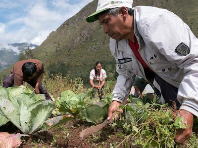 ANPE PERÚ