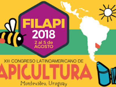 apicultura FILAPI