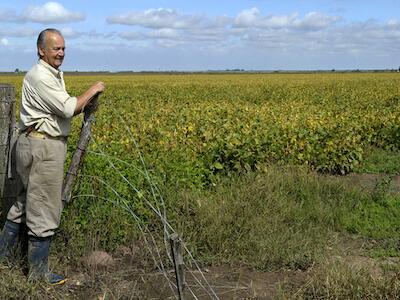 argentina-transgenic-soy_Juan%20MabromataAFP