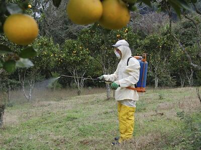 Audiência expõe efeitos dos agrotóxicos