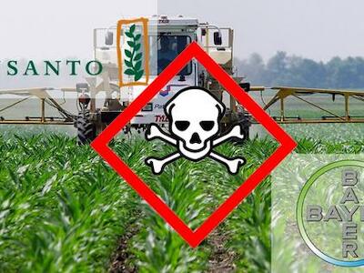 bayer-monsanto-v2-fb_xlarge