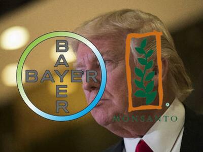 Bayer-y-Monsanto-se-reunen-con-Trump-y-anuncian-millonaria-inversion-en-Estados-Unidos_large