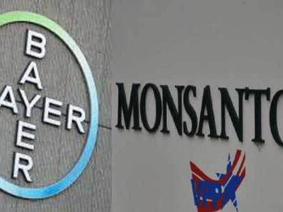 bayer