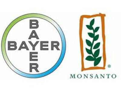 bayer -monsato