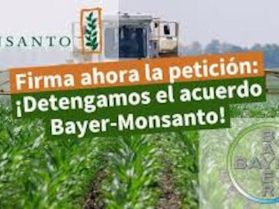 bayermonsanto