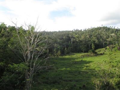 border-of-area-of-redd-project-2-apaisada-768x362