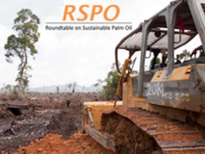 borneo-bagger-rspo-logo-240px