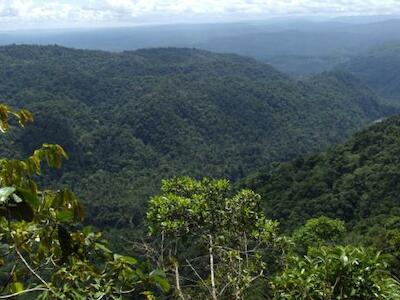 bosques ecuador