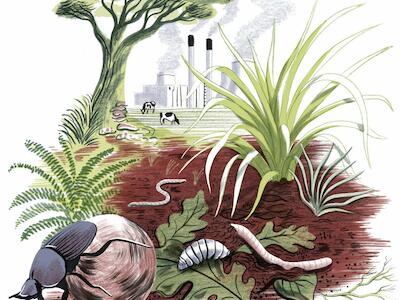 cambio climático