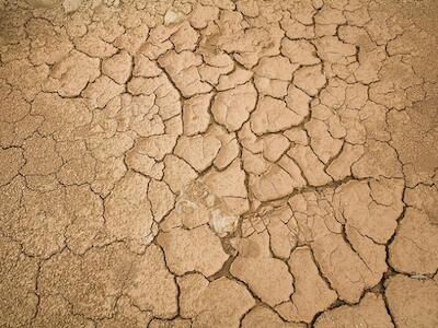 Cambio climático pone en riesgo a los pequeños agricultores