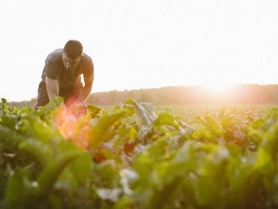 Campesinos eliminan uso de agroquímicos al cultivar con enfoque agroecológico