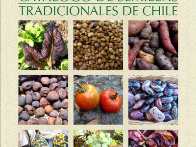 Catalogo-de-Semillas-Tradicionales-de-Chile