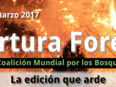 cobertura forestal