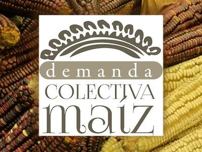 colectiva maiz