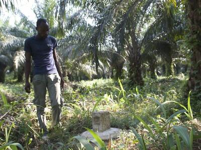Compañía de aceite de palma respaldada por fondos de desarrollo plagada de conflictos por la tierra y finanzas poco transparentes en la República Democrática del Congo
