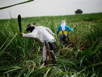 Comunidades negras e indígenas adelantan trabajo de socialización para la liberación de la Madre Tierra en finca La Albania del resguardo ancestral de López Adentro