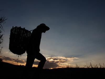 concentración de tierras en México