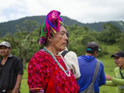 Consulta-Guatemala