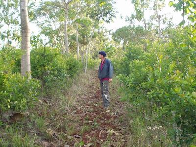 Cooperativa Agropecuaria Yapeyú 1