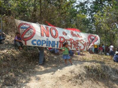copinh-391x293