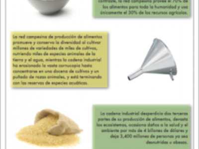 Cover_page_Poster_SPA_large