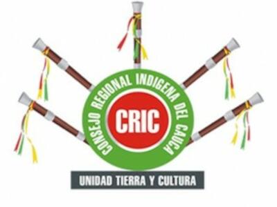 cropped-logo_cric-300x300