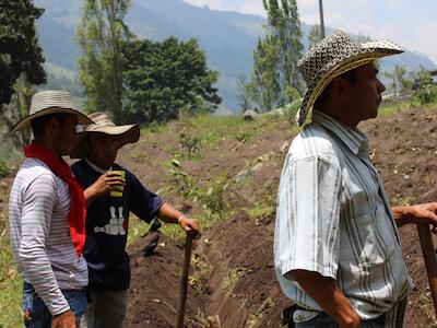 Cultivadores y frutas (4)