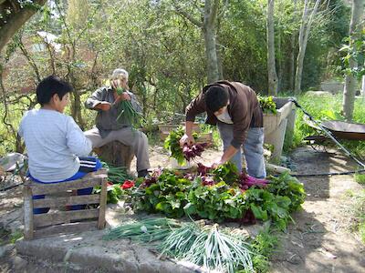 cursoagro2018productores