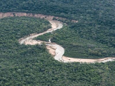 dd naturaleza