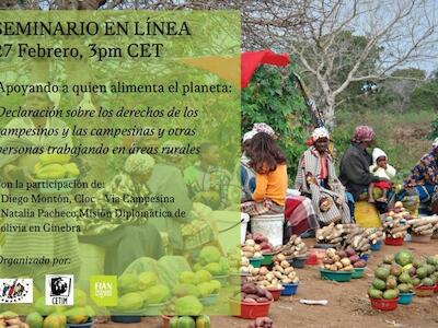 Declaracion de Derechos Campesinos en la ONU. Seminario en linea