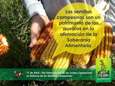 Defendemos Nuestras Semillas Campesinas y Luchamos Contra la Industria