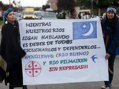 Defensores del río Pilmaiken ahora luchan contra una salmonera e hidroeléctrica