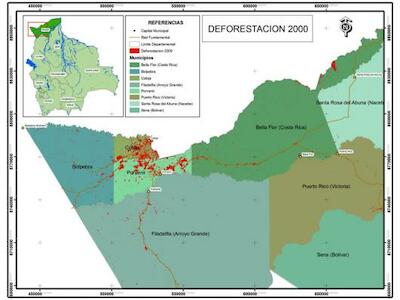 deforestacion