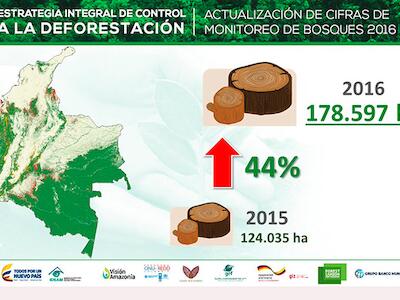 deforestación