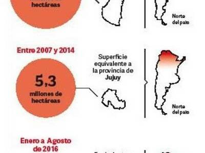 deforestación en Argentina