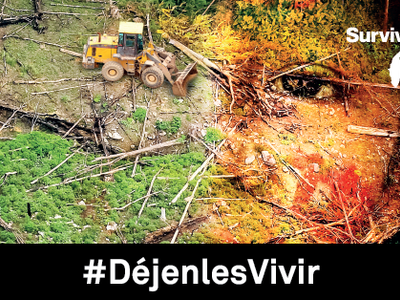 dejenles vivir