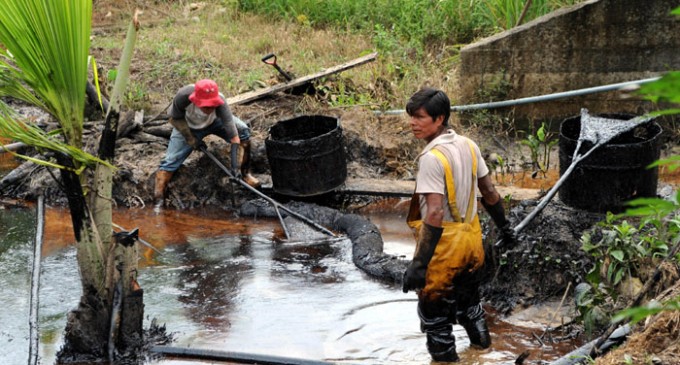 Selva del Amazonas: Causas y consecuencias de la destrucción del pulmón ...
