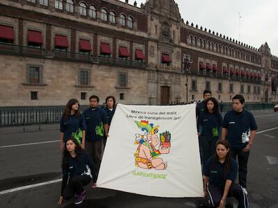 DF_EN DEFENSA DEL MAIZ MEXICANO_GREENPEACE_IVAN CASTANEIRA (1)