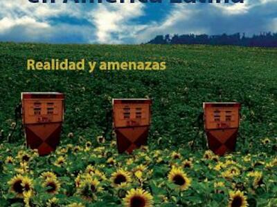 agrocombustibles y alimentación en AL