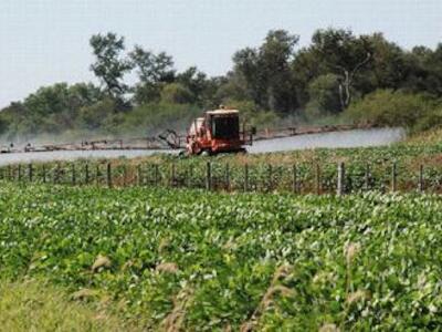 dicamba