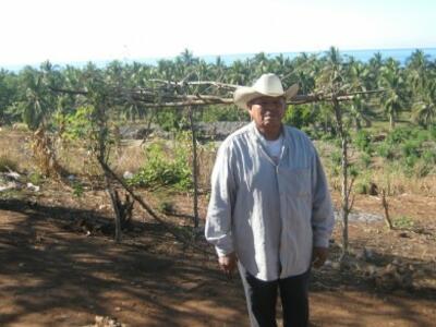 Don-Trino-391x293