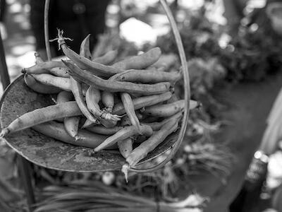 ecologia de sistemas agrarios 1