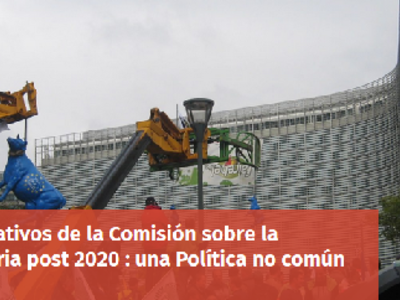 ECVC-Junio-19-1