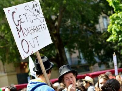 EEUU favorece a Monsanto y suspende análisis de contaminación de glifosato en alimentos