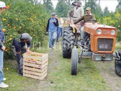 El cooperativismo agrario