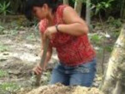 El Salvador en la lucha por la prohibición de agrotóxicos y por la agroecología