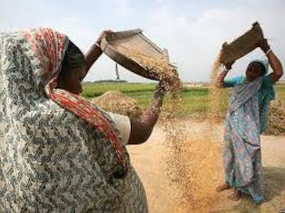 Entrevistas a mujeres en torno a feminismo y soberanía alimentaria