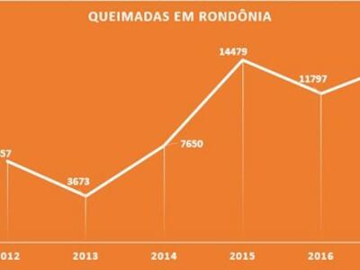 Estudos analisam as queimadas e seu impacto no clima e na saúde