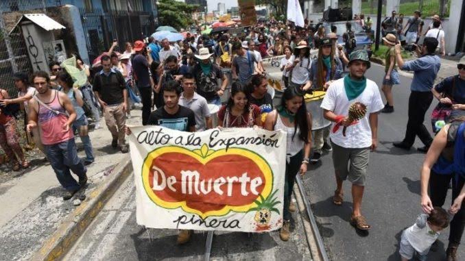 Costa Rica: Nuevo gobierno, viejos piñeros | Biodiversidad en América ...